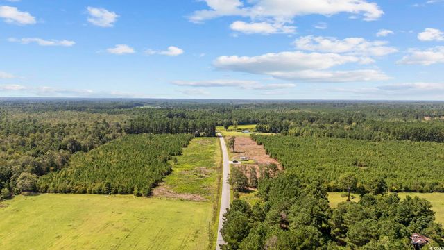 Multiple Lots Black Creek Rd., Nichols, SC 29581