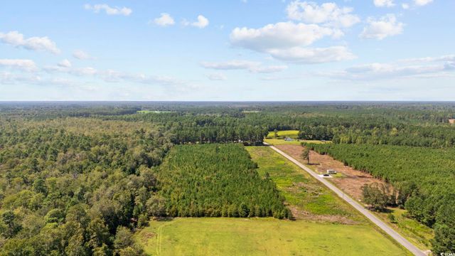 Multiple Lots Black Creek Rd., Nichols, SC 29581