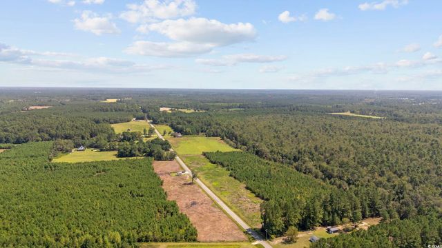 Multiple Lots Black Creek Rd., Nichols, SC 29581