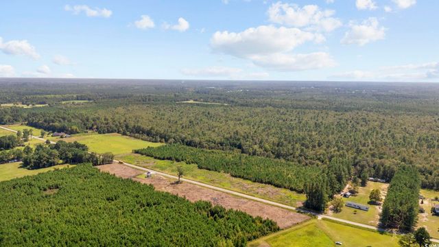 Multiple Lots Black Creek Rd., Nichols, SC 29581