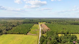 Multiple Lots Black Creek Rd., Nichols, SC 29581