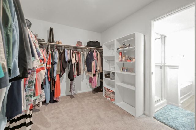 23562 Glenbuck Street, Spring, TX 77373