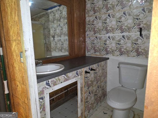 71 Frances White Road, Buchanan, GA 30113
