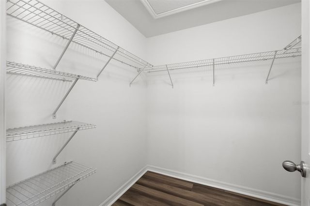 7678 GINGER LILY COURT, Tampa, FL 33619