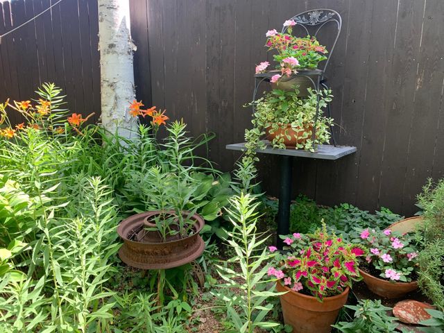 254 Western Avenue S, Saint Paul, MN 55102