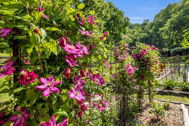 28 Bussell Ln, Gordonsville, TN 38563