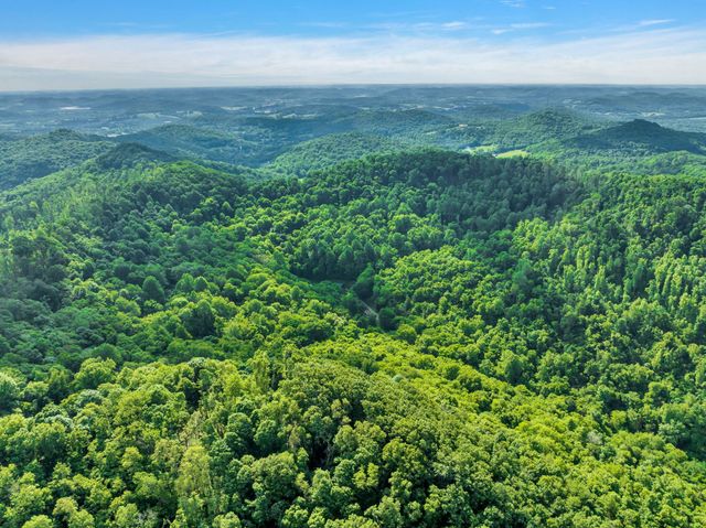 28 Bussell Ln, Gordonsville, TN 38563