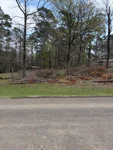 Lot 213 Dogwood Drive, Trinity, TX 75862