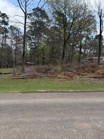 Lot 213 Dogwood Drive, Trinity, TX 75862