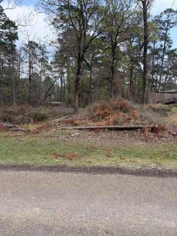 Lot 213 Dogwood Drive, Trinity, TX 75862