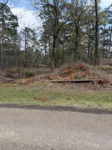 Lot 213 Dogwood Drive, Trinity, TX 75862