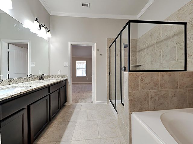 3731 Paladera Place Court, Spring, TX 77386