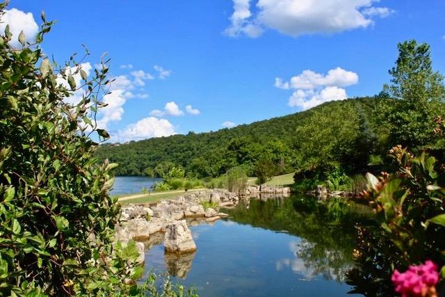 283 Clay Bank Road, Branson, MO 65616