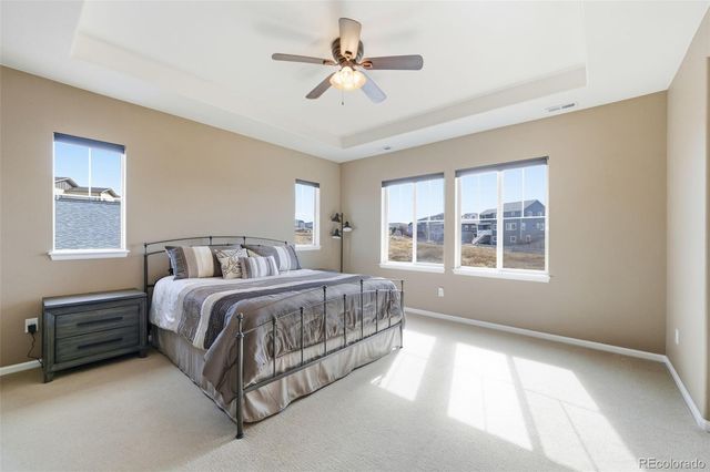 156 Dunsinane Lane, Castle Rock, CO 80104