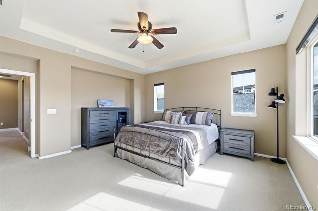 156 Dunsinane Lane, Castle Rock, CO 80104