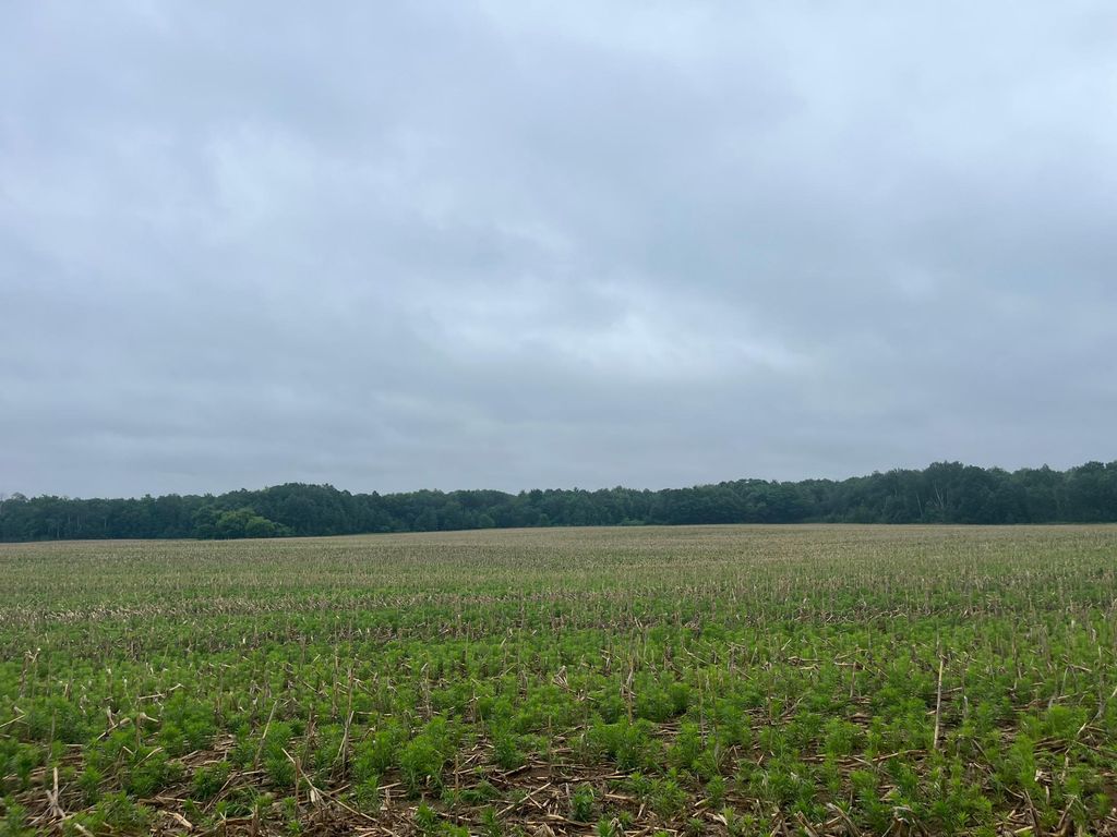 TBD (Lot 2) Hemingway Avenue, North Branch, MN 55056 — exterior