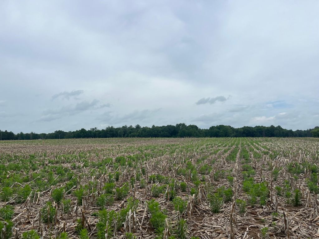 TBD (Lot 2) Hemingway Avenue, North Branch, MN 55056 — photo 2