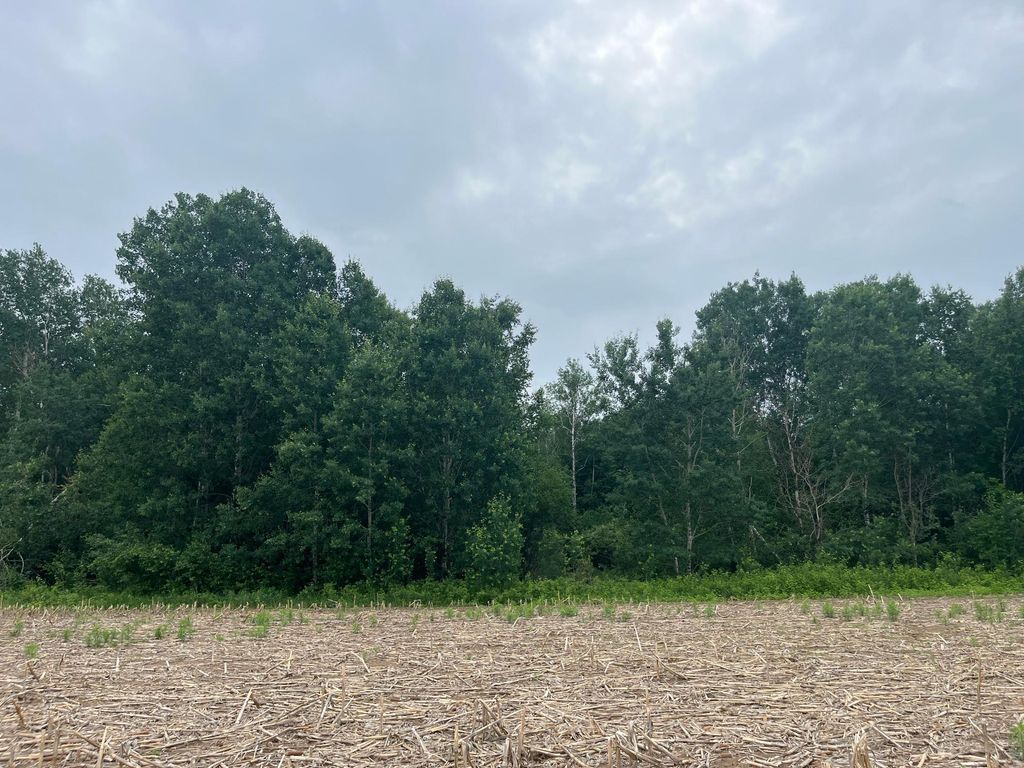 TBD (Lot 2) Hemingway Avenue, North Branch, MN 55056 — photo 3