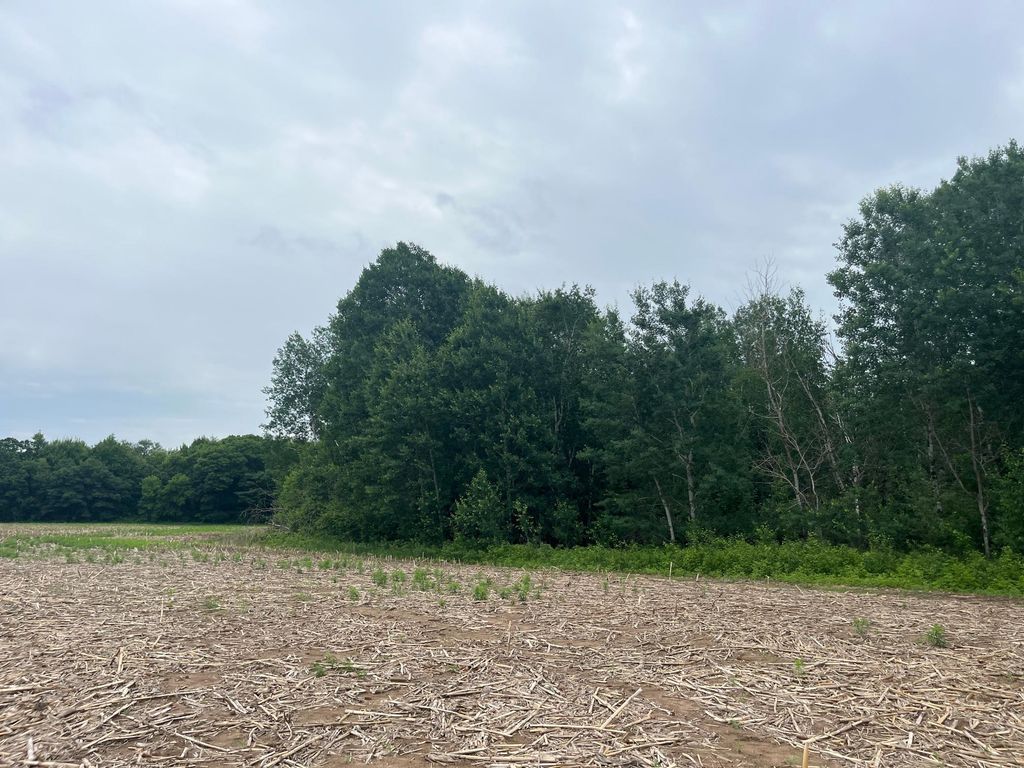 TBD (Lot 2) Hemingway Avenue, North Branch, MN 55056 — photo 4