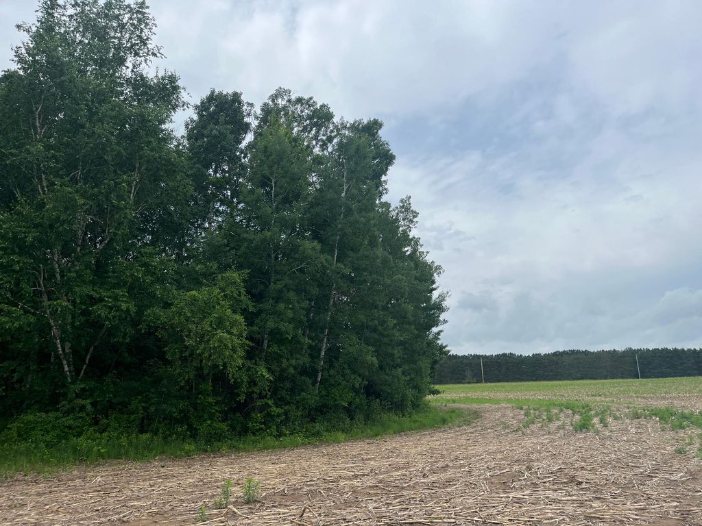 TBD (Lot 2) Hemingway Avenue, North Branch, MN 55056 — photo 5