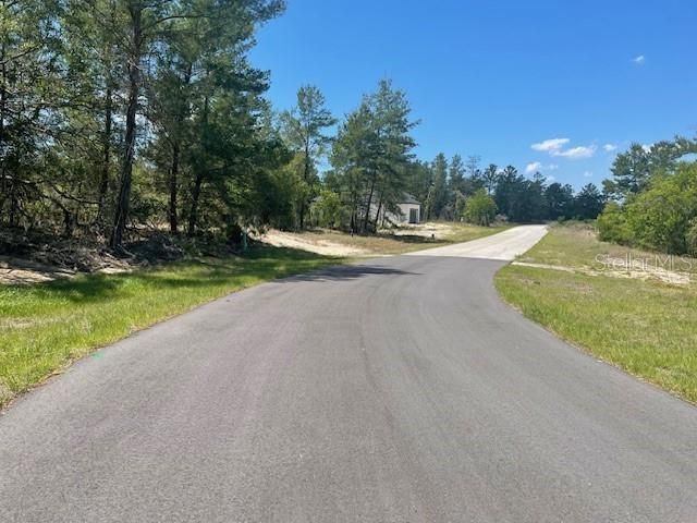 1342 HOMOSASSA DRIVE, Poinciana, FL 34759
