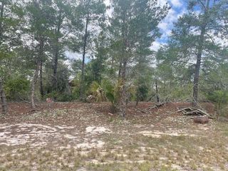 1342 HOMOSASSA DRIVE, Poinciana, FL 34759