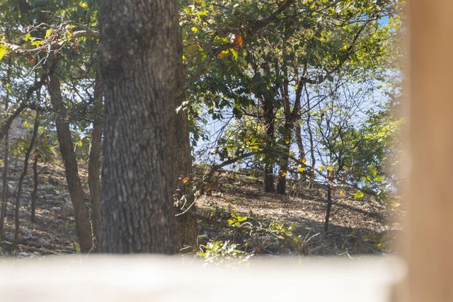 39 Troutdale Lane, Branson West, MO 65737