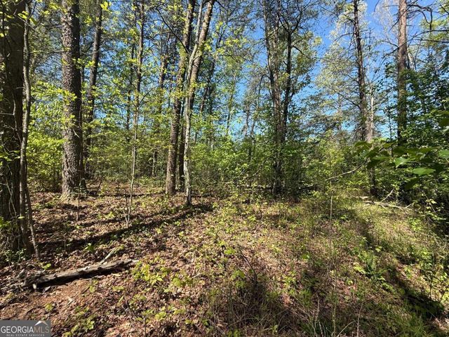 0 Windfield Circle 35, 36, Blue Ridge, GA 30513