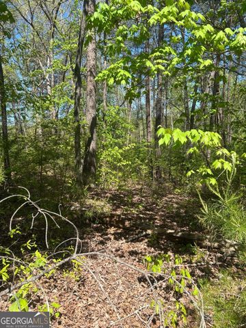 0 Windfield Circle 35, 36, Blue Ridge, GA 30513