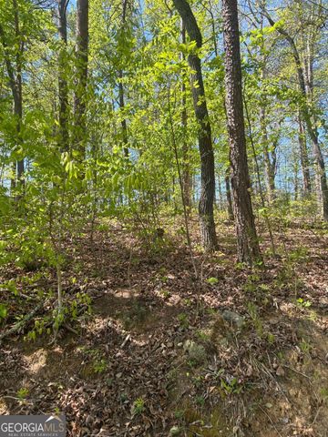 0 Windfield Circle 35, 36, Blue Ridge, GA 30513