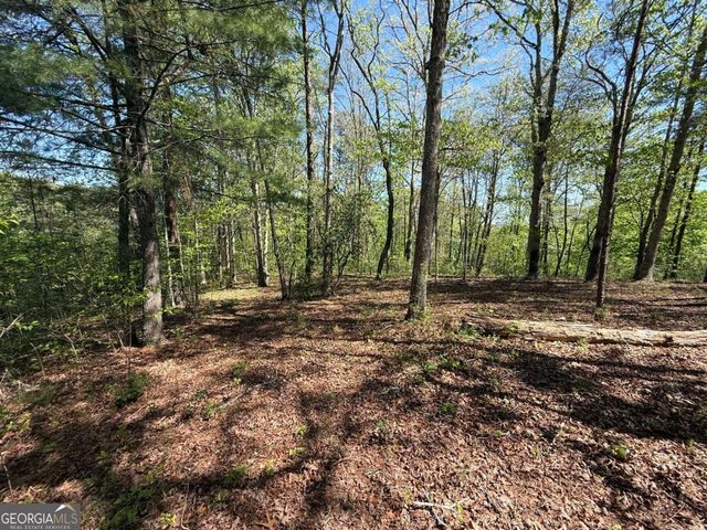 0 Windfield Circle 35, 36, Blue Ridge, GA 30513