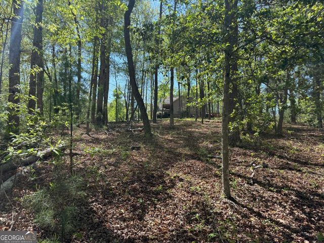 0 Windfield Circle 35, 36, Blue Ridge, GA 30513