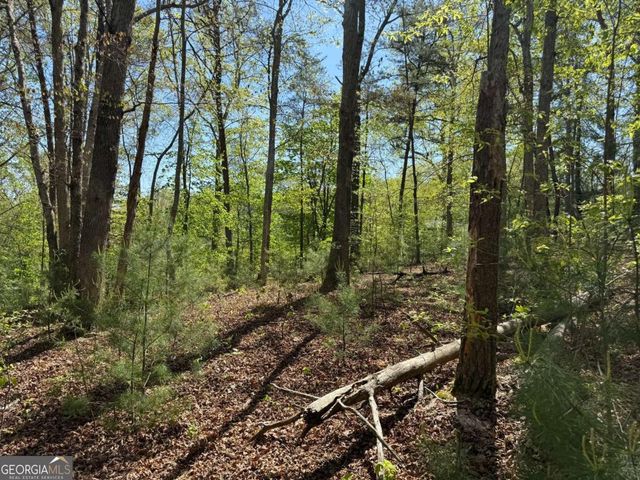 0 Windfield Circle 35, 36, Blue Ridge, GA 30513