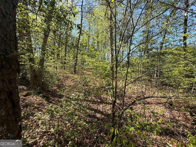 0 Windfield Circle 35, 36, Blue Ridge, GA 30513