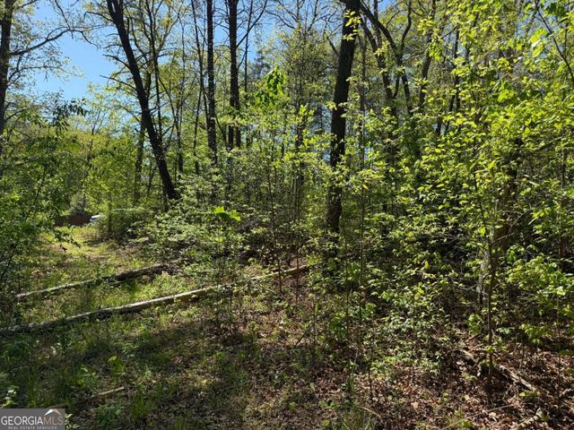 0 Windfield Circle 35, 36, Blue Ridge, GA 30513