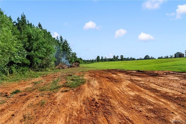 11604 Cripple Creek, Berry, AL 35546