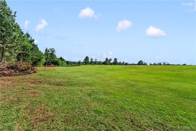 11604 Cripple Creek, Berry, AL 35546