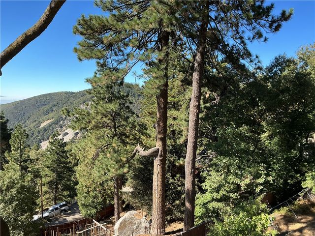 21669 Vista, Cedarpines Park, CA 92322