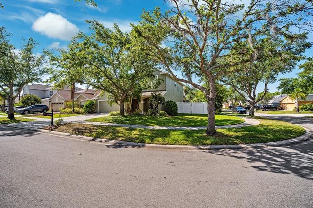 11519 CYPRESS RESERVE DRIVE, Tampa, FL 33626