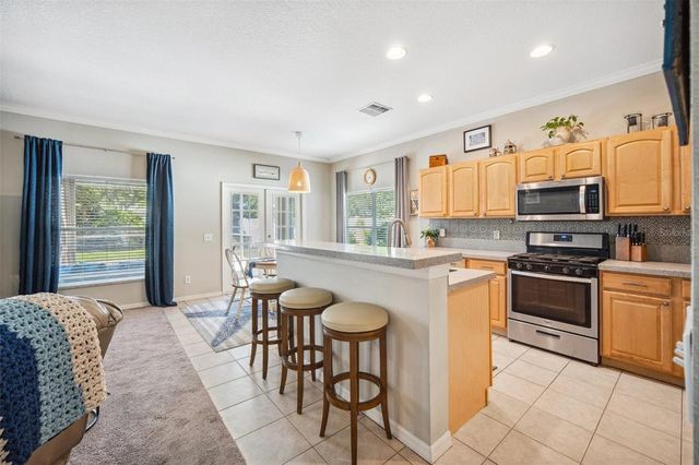 11519 CYPRESS RESERVE DRIVE, Tampa, FL 33626