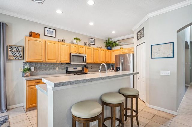 11519 CYPRESS RESERVE DRIVE, Tampa, FL 33626