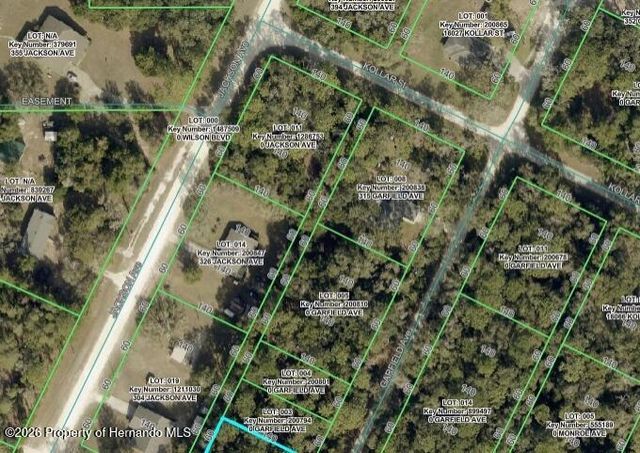 0 Jackson Avenue, Brooksville, FL 34604