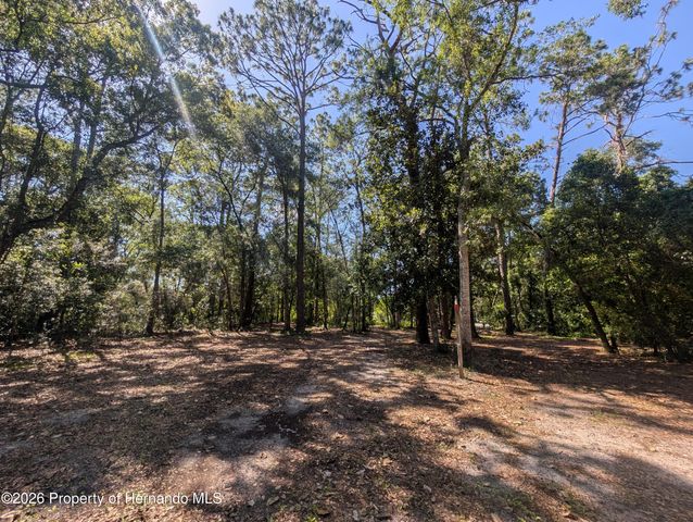 0 Jackson Avenue, Brooksville, FL 34604
