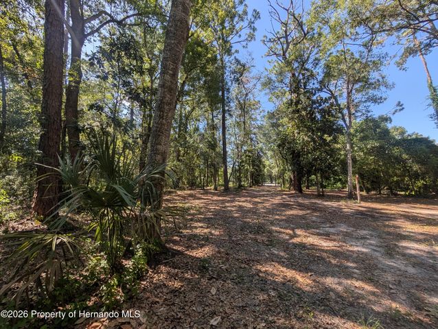 0 Jackson Avenue, Brooksville, FL 34604