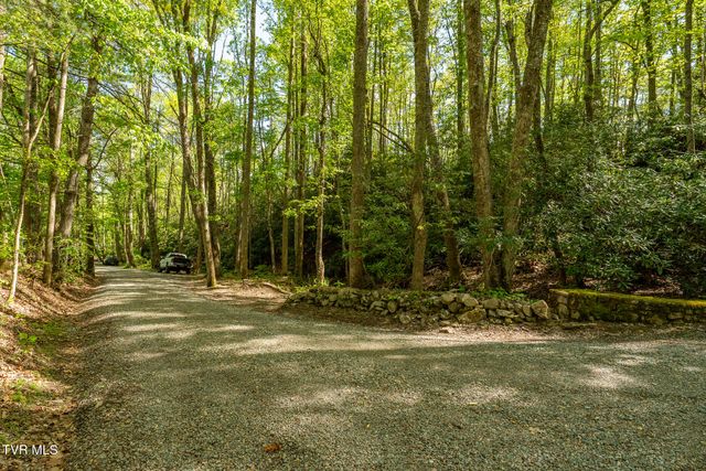 151 Stonebridge Lane, Mountain City, TN 37683