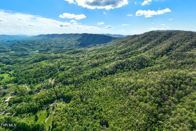 151 Stonebridge Lane, Mountain City, TN 37683