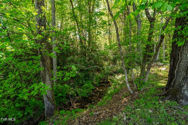 151 Stonebridge Lane, Mountain City, TN 37683