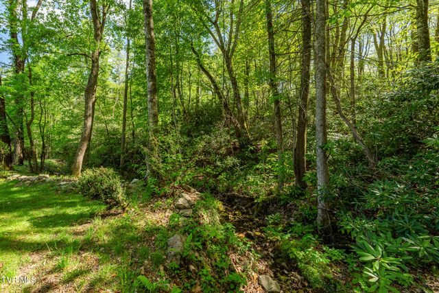 151 Stonebridge Lane, Mountain City, TN 37683