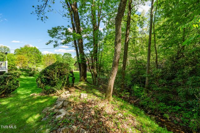 151 Stonebridge Lane, Mountain City, TN 37683