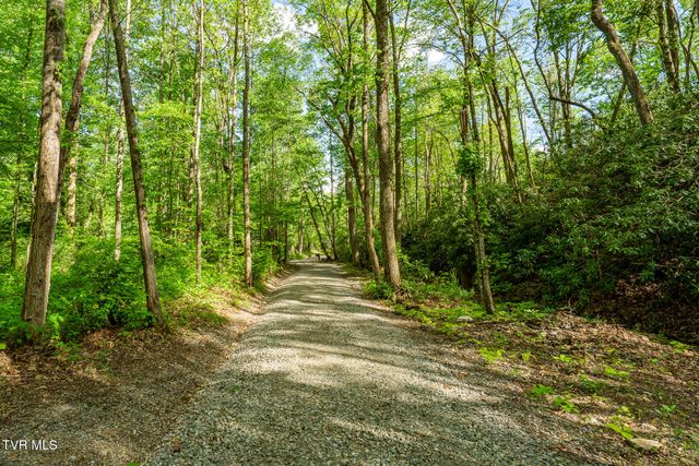 151 Stonebridge Lane, Mountain City, TN 37683